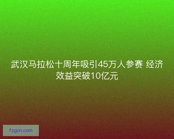武汉马拉松十周年吸引45万人参赛 经济效益突破10亿元 武汉马拉松十周年吸引45万人参赛 经济效益突破10亿元